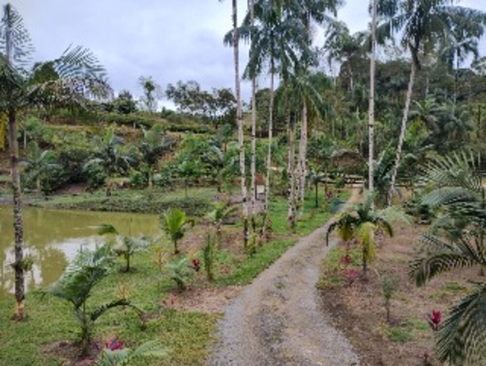 Sítio à venda com 4 quartos, 300m² - Foto 20
