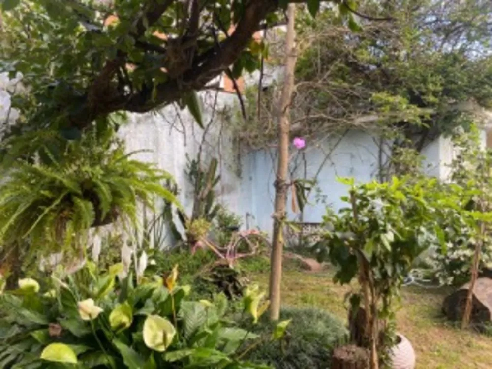 Prédio Inteiro, 200 m² - Foto 5