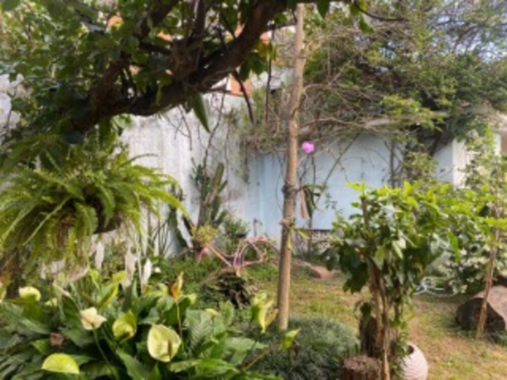 Prédio Inteiro à venda com 6 quartos, 200m² - Foto 3
