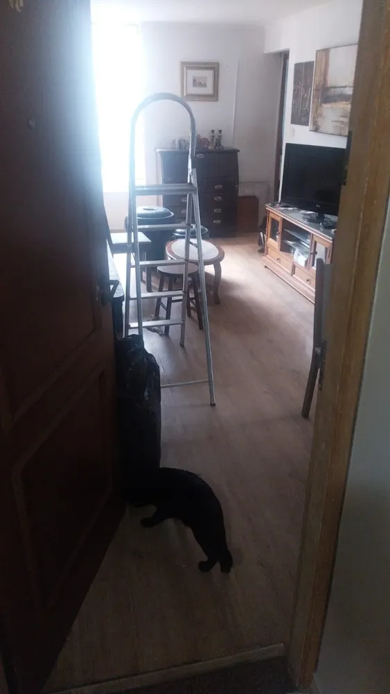 Apartamento, 2 quartos, 50 m² - Foto 4