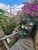 Casa, 4 quartos, 349 m² - Foto 20