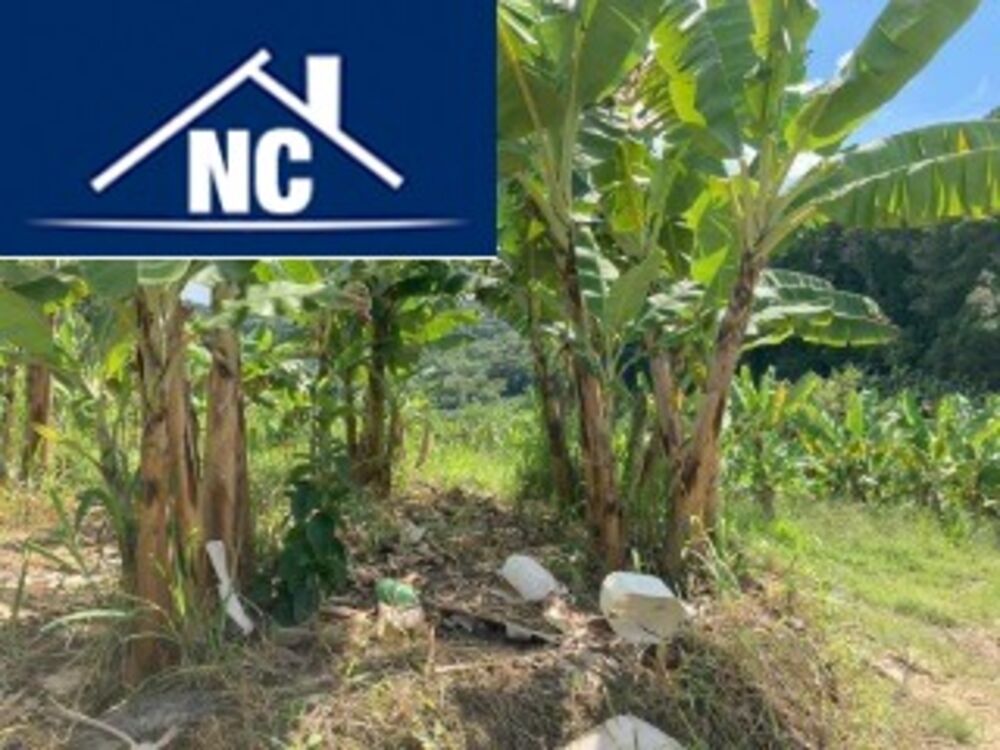 Sítio, 10 m² - Foto 7