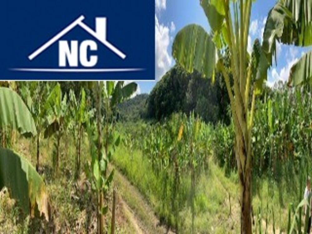 Sítio, 10 m² - Foto 12