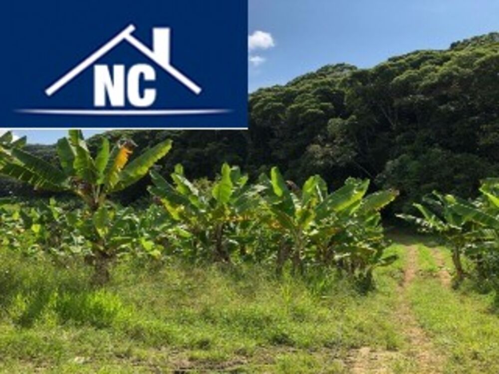 Sítio, 10 m² - Foto 19