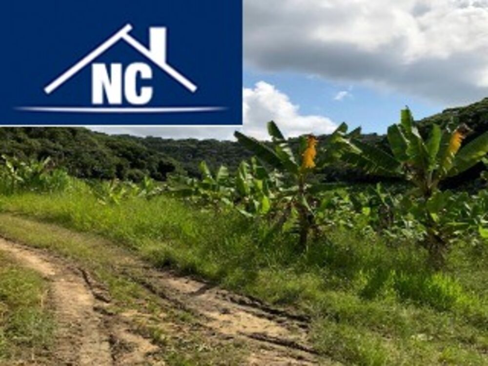 Sítio, 10 m² - Foto 20