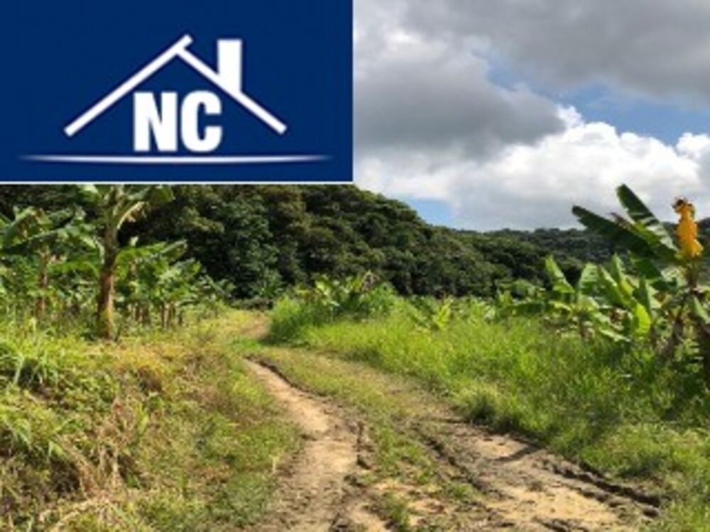 Sítio, 10 m² - Foto 18