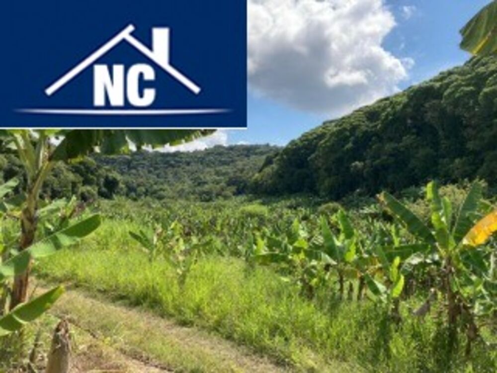 Sítio, 10 m² - Foto 1