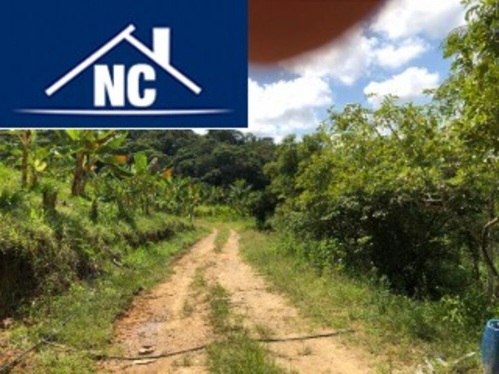 Sítio, 10 m² - Foto 17