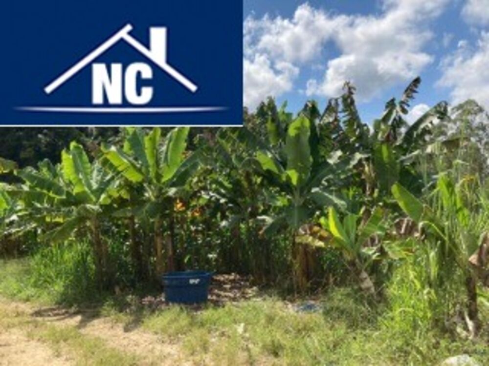 Sítio, 10 m² - Foto 3