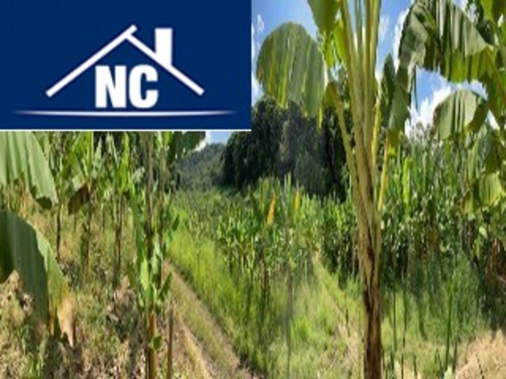 Sítio, 10 m² - Foto 11