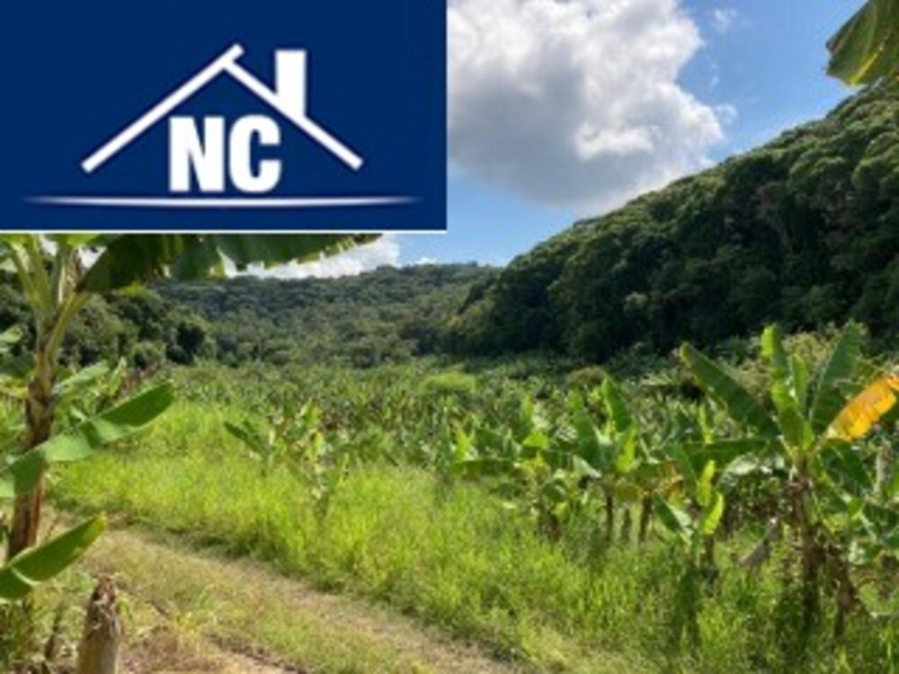 Sítio, 10 m² - Foto 6