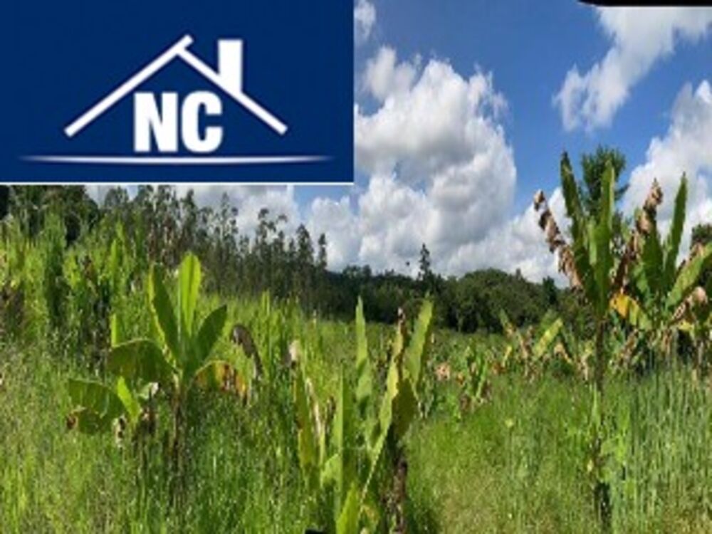 Sítio, 10 m² - Foto 15