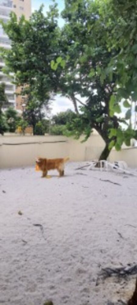 Apartamento, 2 quartos, 51 m² - Foto 1