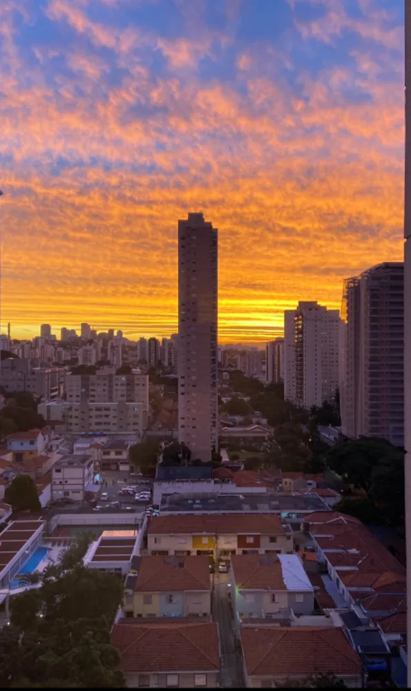Apartamento, 3 quartos, 86 m² - Foto 3