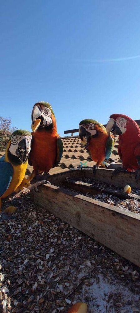 Pousada-Chalé, 17 quartos, 700 m² - Foto 14