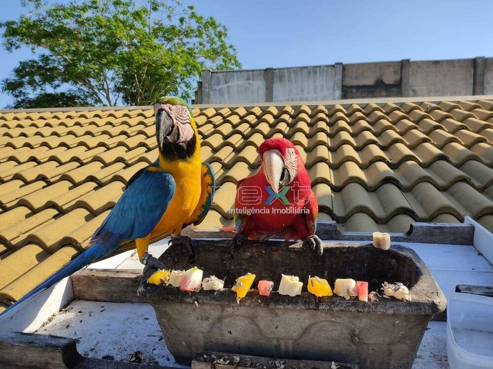 Pousada-Chalé, 17 quartos, 700 m² - Foto 11