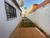 Casa, 2 quartos, 79 m² - Foto 7