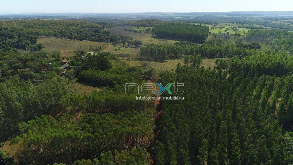 Fazenda, 400 hectares - Foto 3