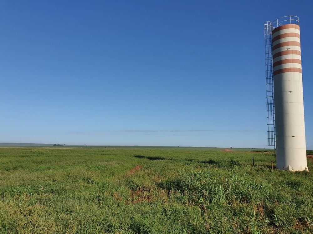 Fazenda, 1453 hectares - Foto 5