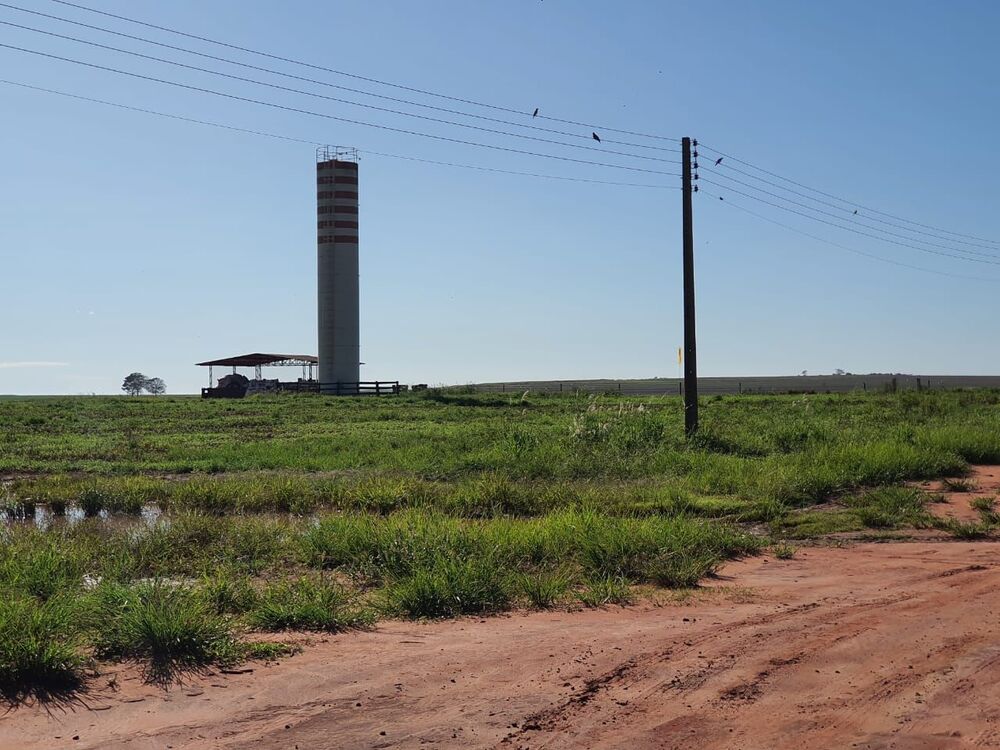 Fazenda, 1453 hectares - Foto 6