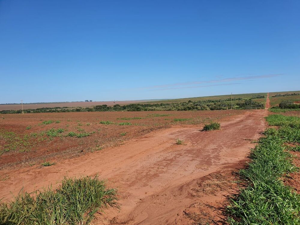 Fazenda, 1453 hectares - Foto 19