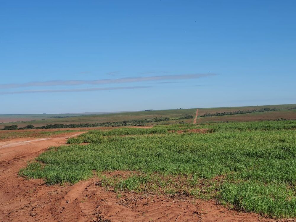 Fazenda, 1453 hectares - Foto 20