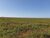 Fazenda, 1453 hectares - Foto 2