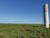 Fazenda-Sítio-Chácara, 1453 hectares - Foto 5