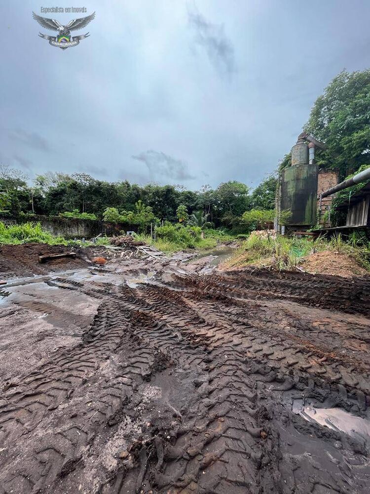 Terreno à venda, 12000m² - Foto 3