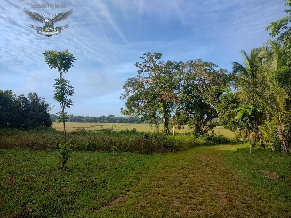 Fazenda à venda com 1 quarto, 100m² - Foto 4