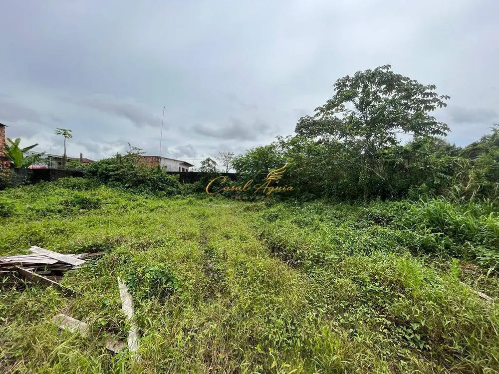 Terreno, 1 hectares - Foto 8