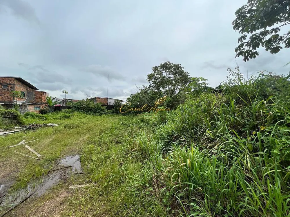 Terreno, 1 hectares - Foto 7