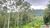 Fazenda, 163 hectares - Foto 4