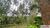 Fazenda, 163 hectares - Foto 1
