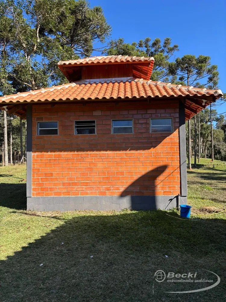 Sítio, 5 hectares - Foto 4