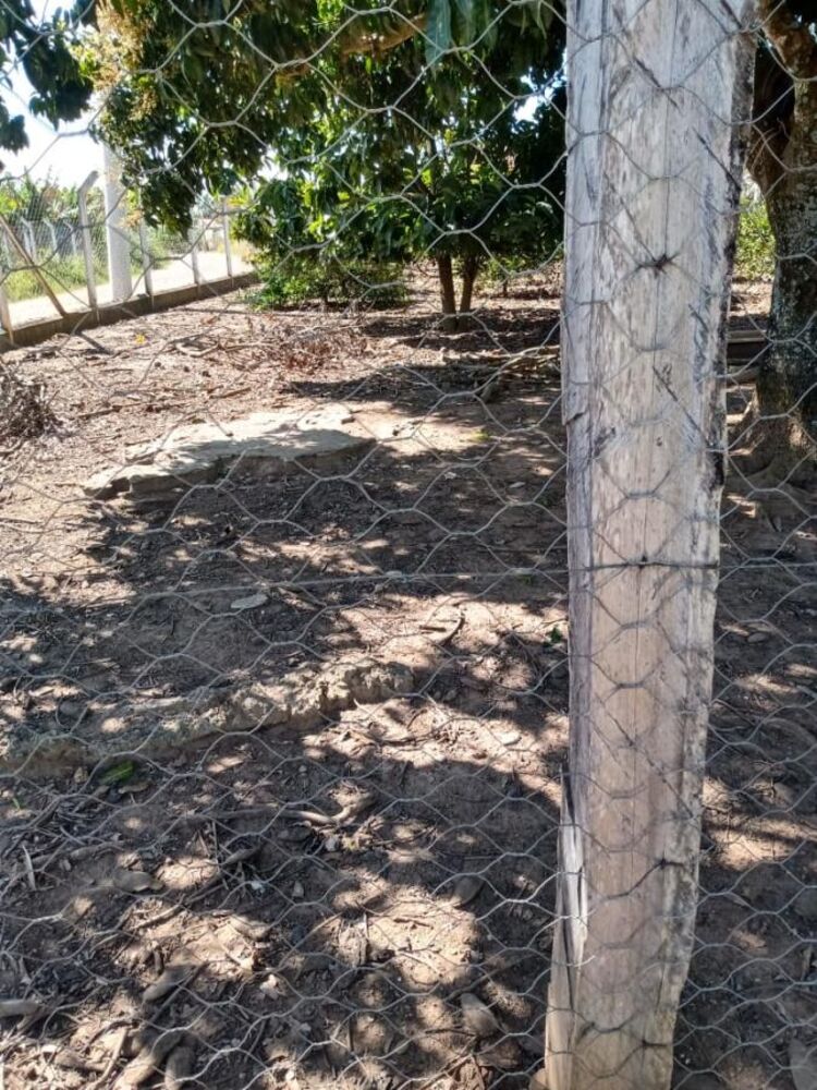 Chácara à venda, 2000m² - Foto 3