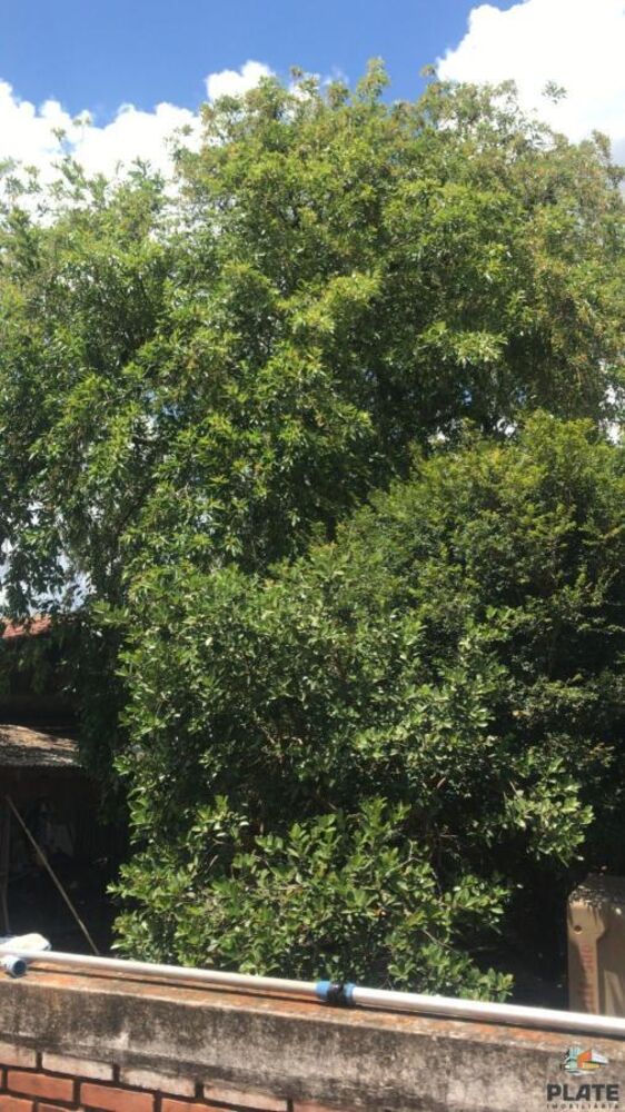 Chácara, 1000 m² - Foto 16