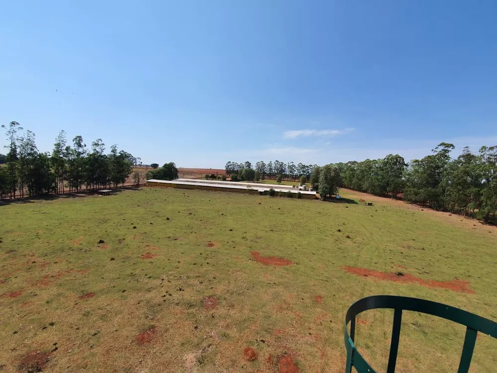 Sítio, 7 hectares - Foto 1