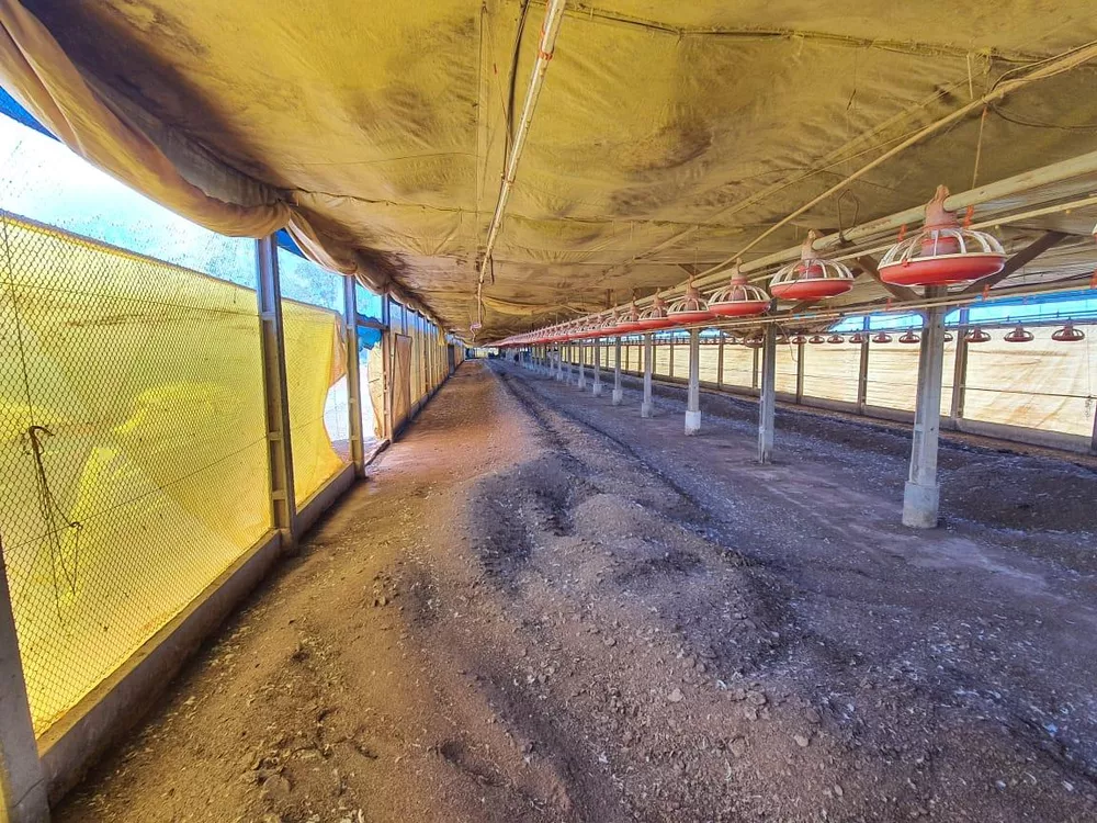 Sítio, 7 hectares - Foto 3