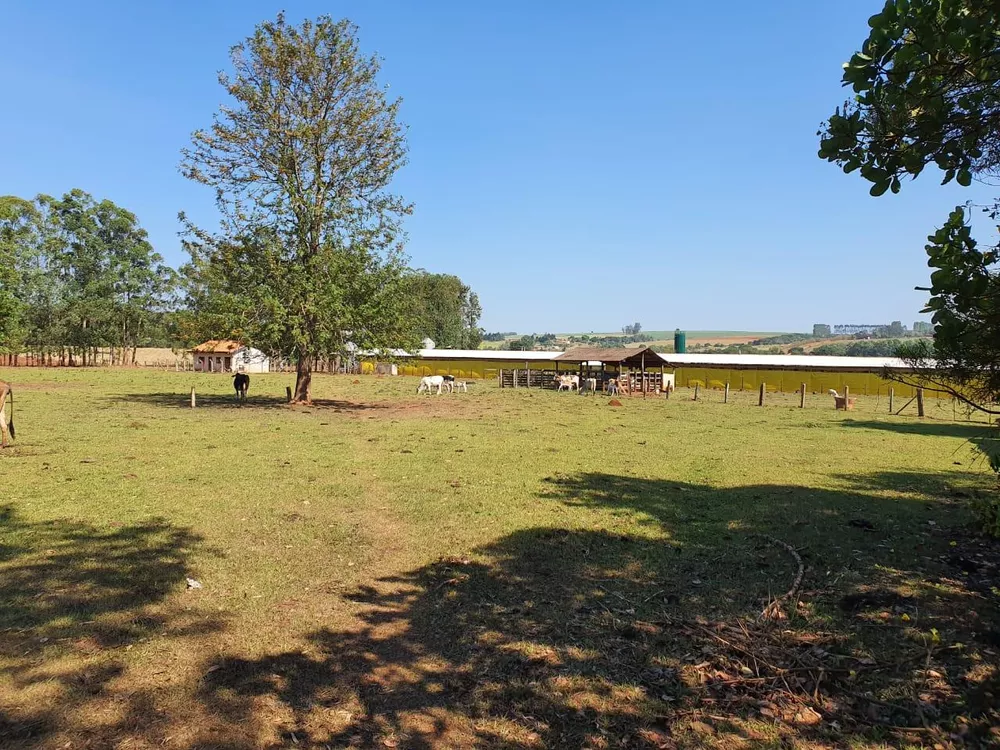 Sítio, 7 hectares - Foto 5