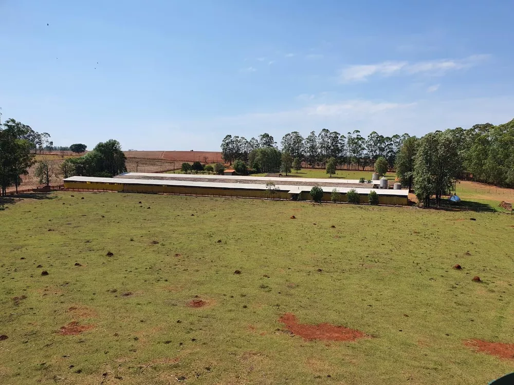 Sítio, 7 hectares - Foto 2