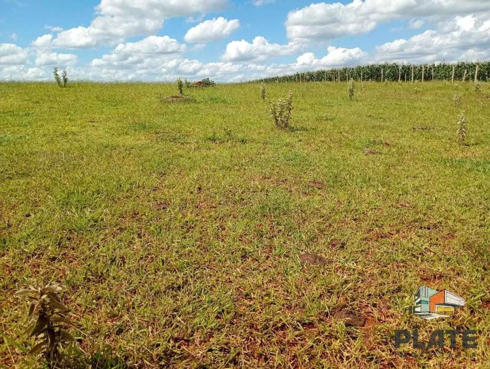 Sítio, 15 hectares - Foto 1