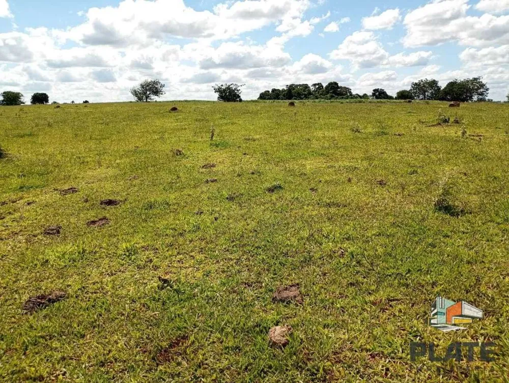 Sítio, 15 hectares - Foto 2