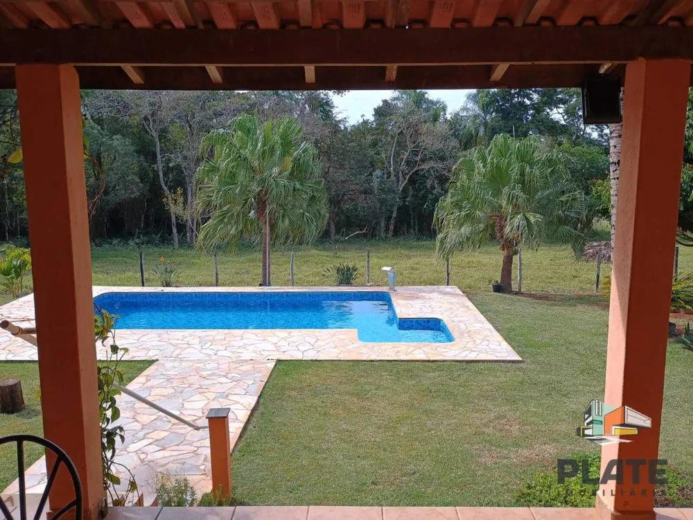 Chácara, 3 hectares - Foto 9