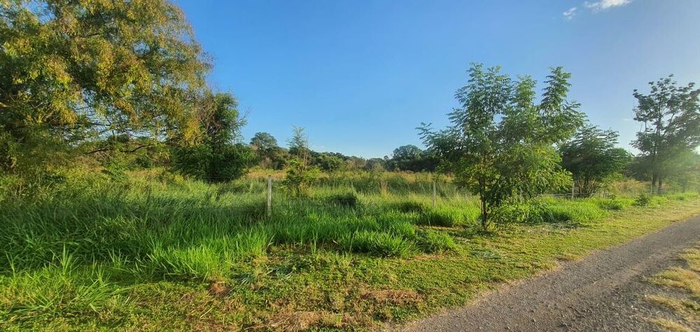 Terreno, 6000 m² - Foto 7