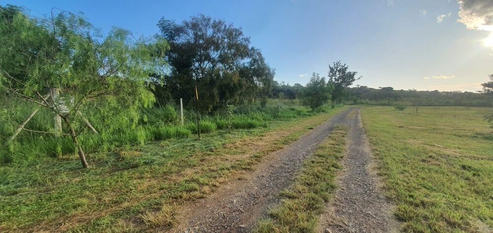 Terreno, 6000 m² - Foto 2