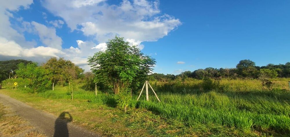 Terreno, 6000 m² - Foto 5