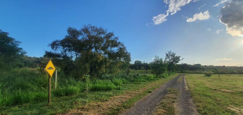Terreno, 6000 m² - Foto 4