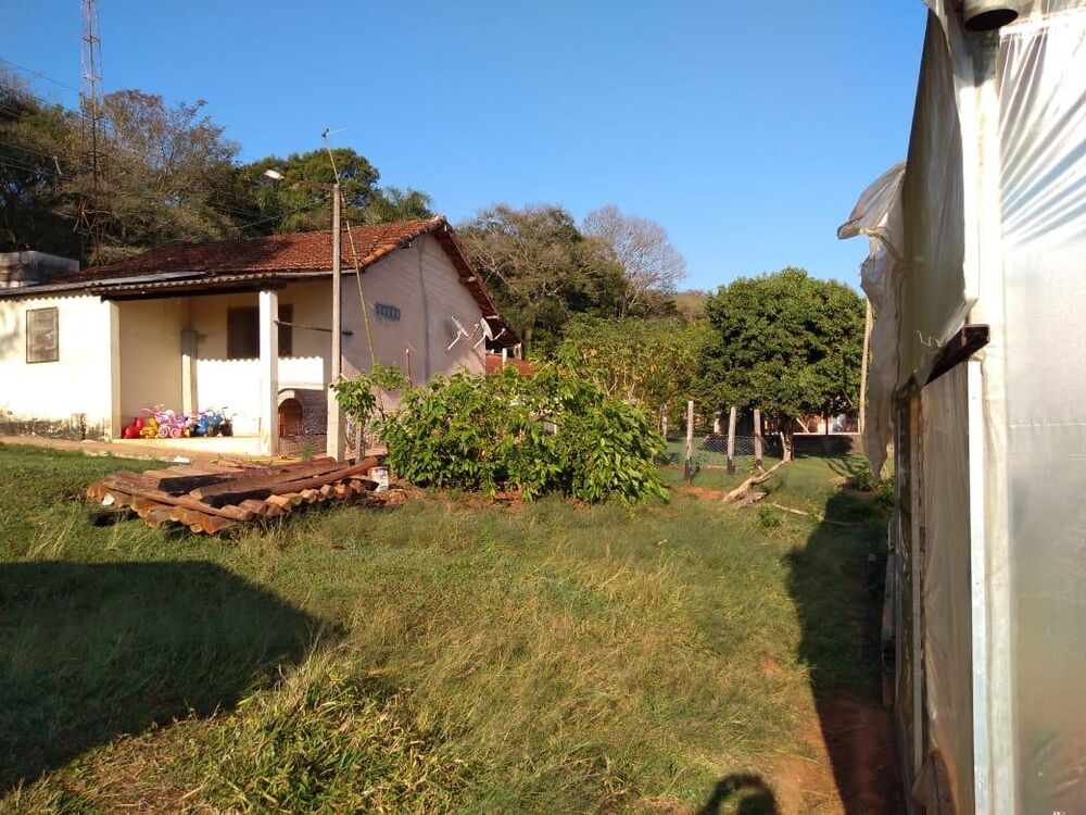 Chácara, 3 hectares - Foto 3