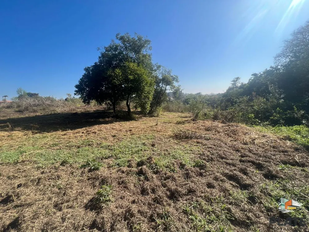 Sítio, 2 hectares - Foto 11